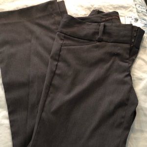 NWT The Limited Exact Stretch pants